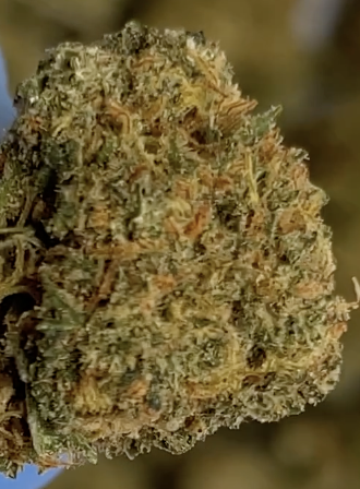 1g FANTA CBD (Kopie)