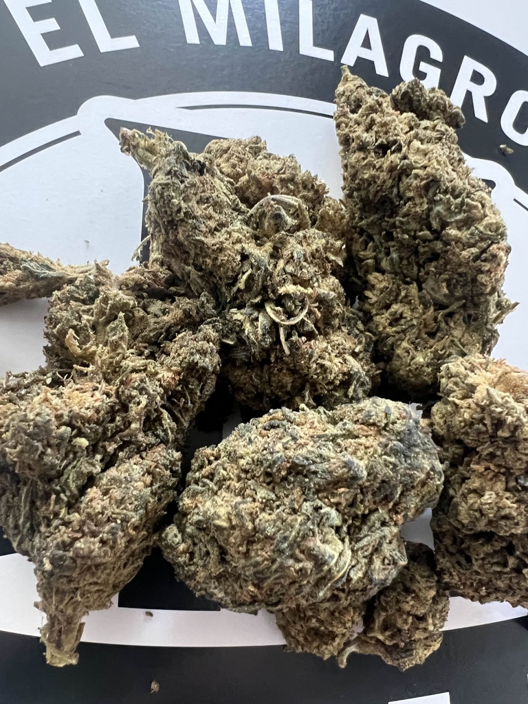 Northern lights BUD