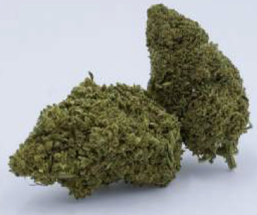 Bubblegum CBD buds